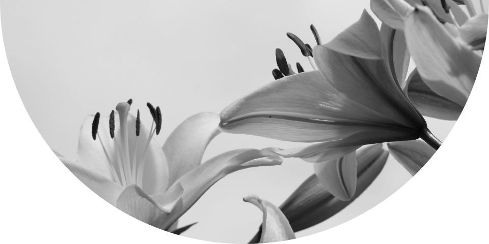 blickwinkel änderei astrologie coaching