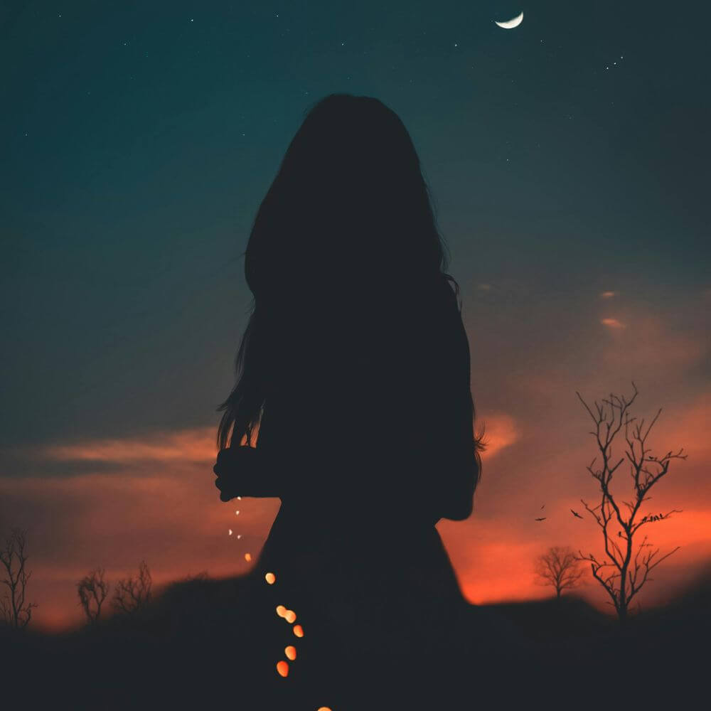 the venus year